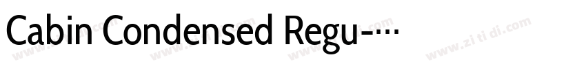 Cabin Condensed Regu字体转换